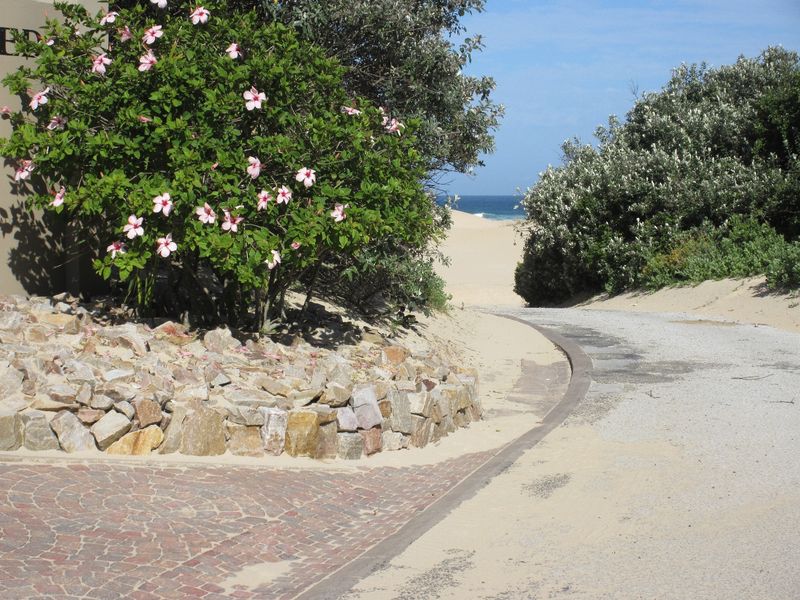 Beautiful Sea View Plot in Port Alfred. - Photo 4