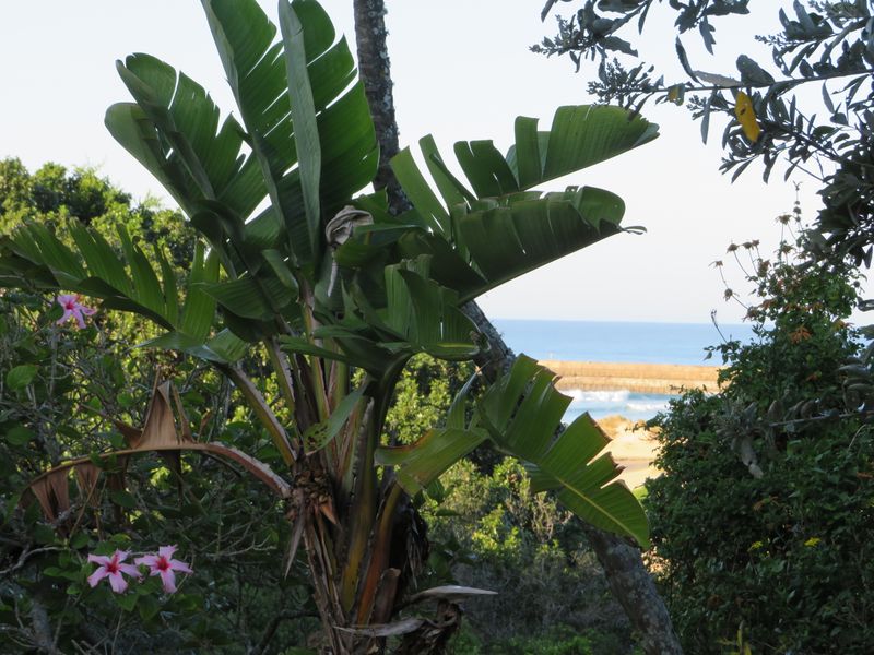 Beautiful Plot Close to the Beach in Port  Alfred. - Photo 1