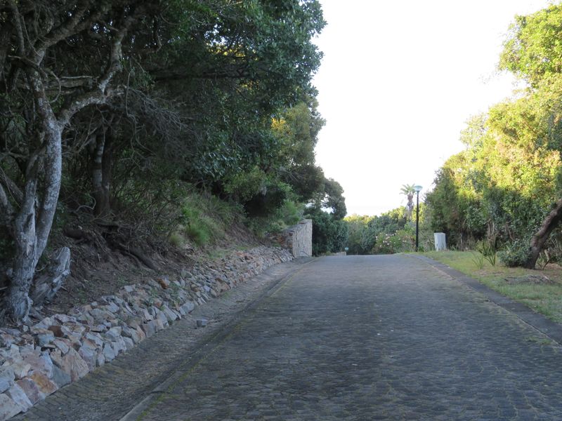 Beautiful Plot Close to the Beach in Port  Alfred. - Photo 9