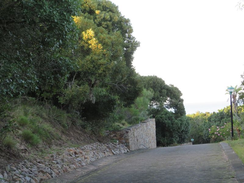 Beautiful Plot Close to the Beach in Port  Alfred. - Photo 7
