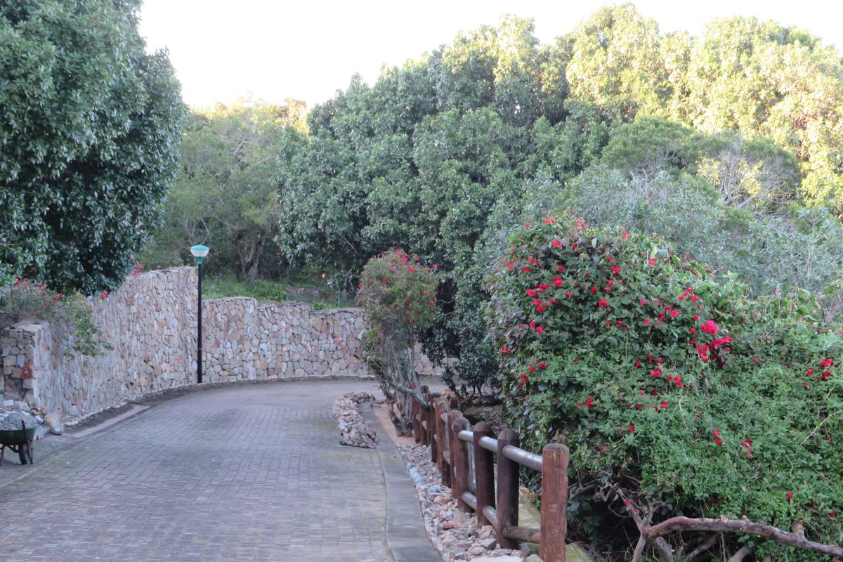 Beautiful Plot Close to the Beach in Port  Alfred. - Photo 4
