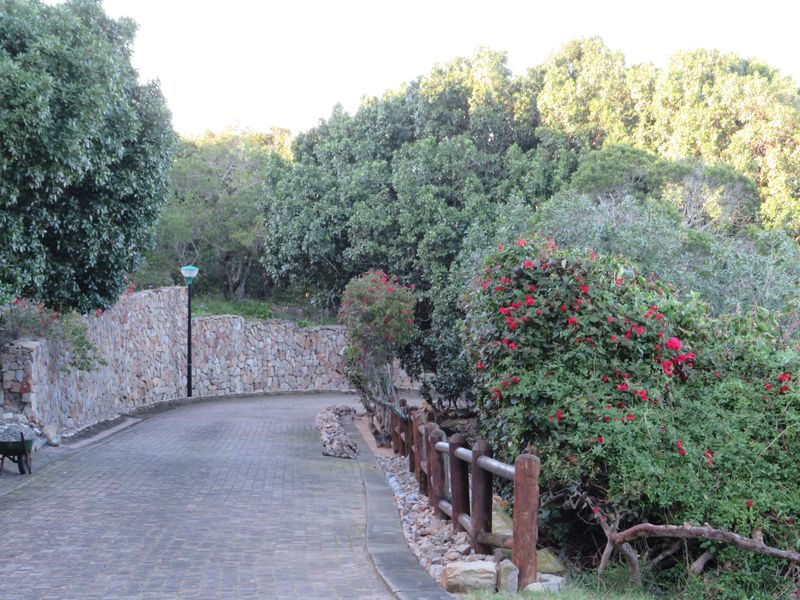 Beautiful Plot Close to the Beach in Port  Alfred. - Photo 4