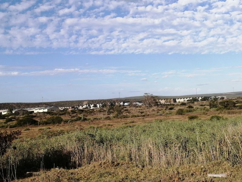 Land for Sale!!! - Photo 4