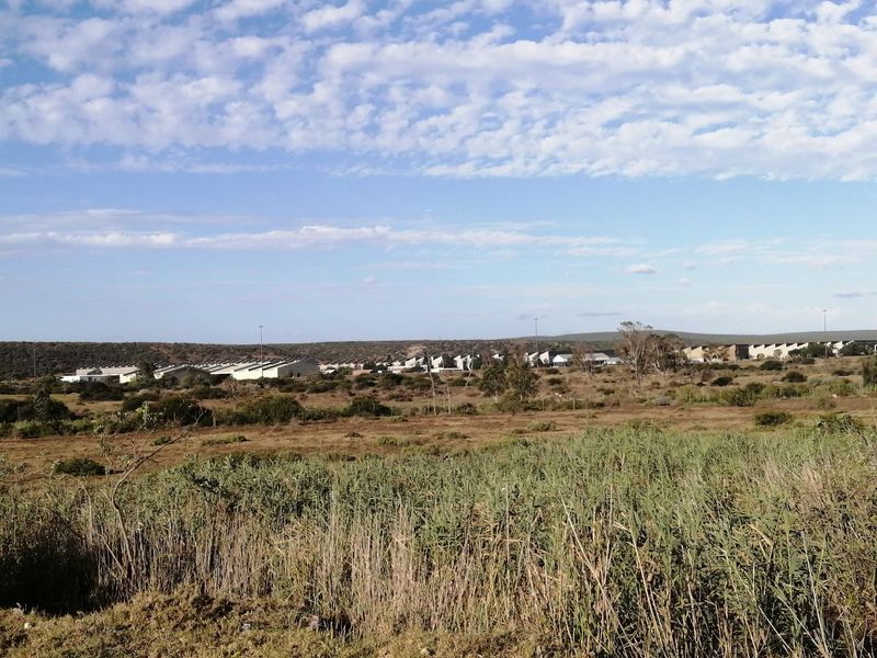 Land for Sale!!! - Photo 9