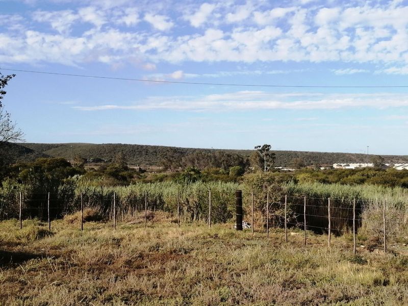 Amazing investment available! - Photo 10