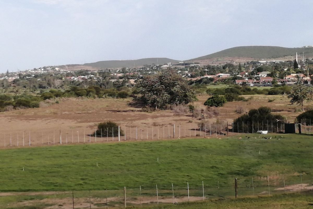 Amazing investment available! - Photo 4