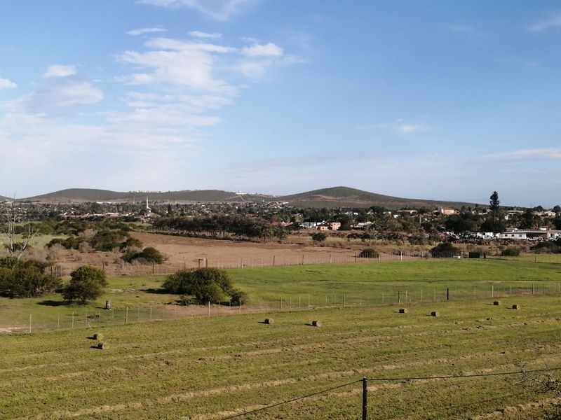 Amazing investment available! - Photo 3