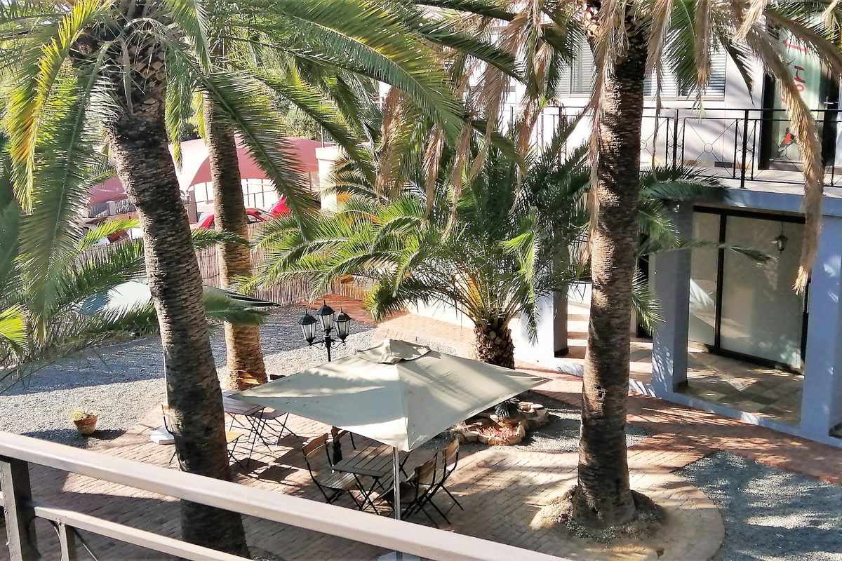 An elevated view of a rear courtyard featuring paved flooring, mature palm trees, and a balcony overlooking the outdoor space.