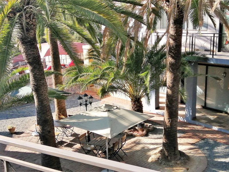 An elevated view of a rear courtyard featuring paved flooring, mature palm trees, and a balcony overlooking the outdoor space.