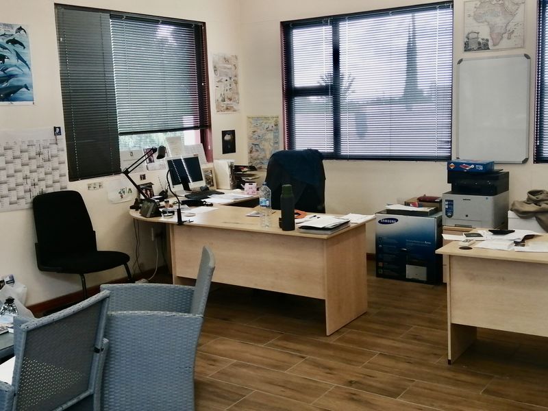 A functional office space featuring large windows with venetian blinds, wood-look tile flooring, and ample natural light.