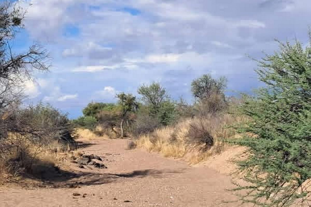 Farm for Sale in Karanas Area - Photo 2