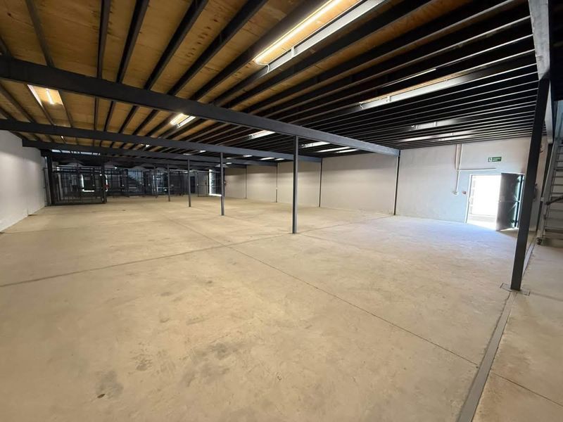 Spacious industrial utility area featuring exposed steel structural beams, concrete flooring, and high-clearance mezzanine level with integrated lighting.