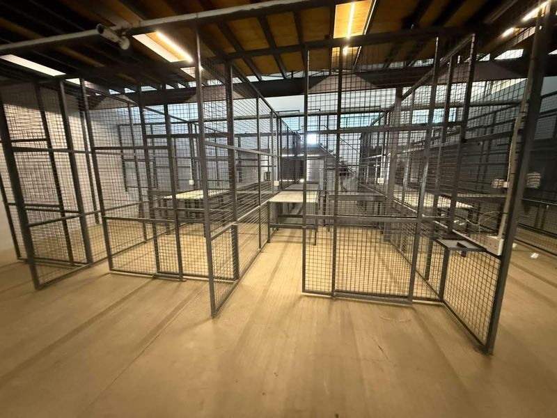 Industrial utility space featuring multiple metal mesh security cages, exposed timber ceiling beams, and functional fluorescent lighting.