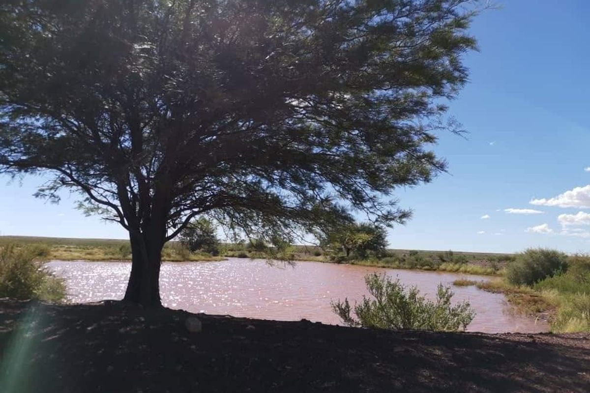 Farm For Sale In Karasburg - Photo 2