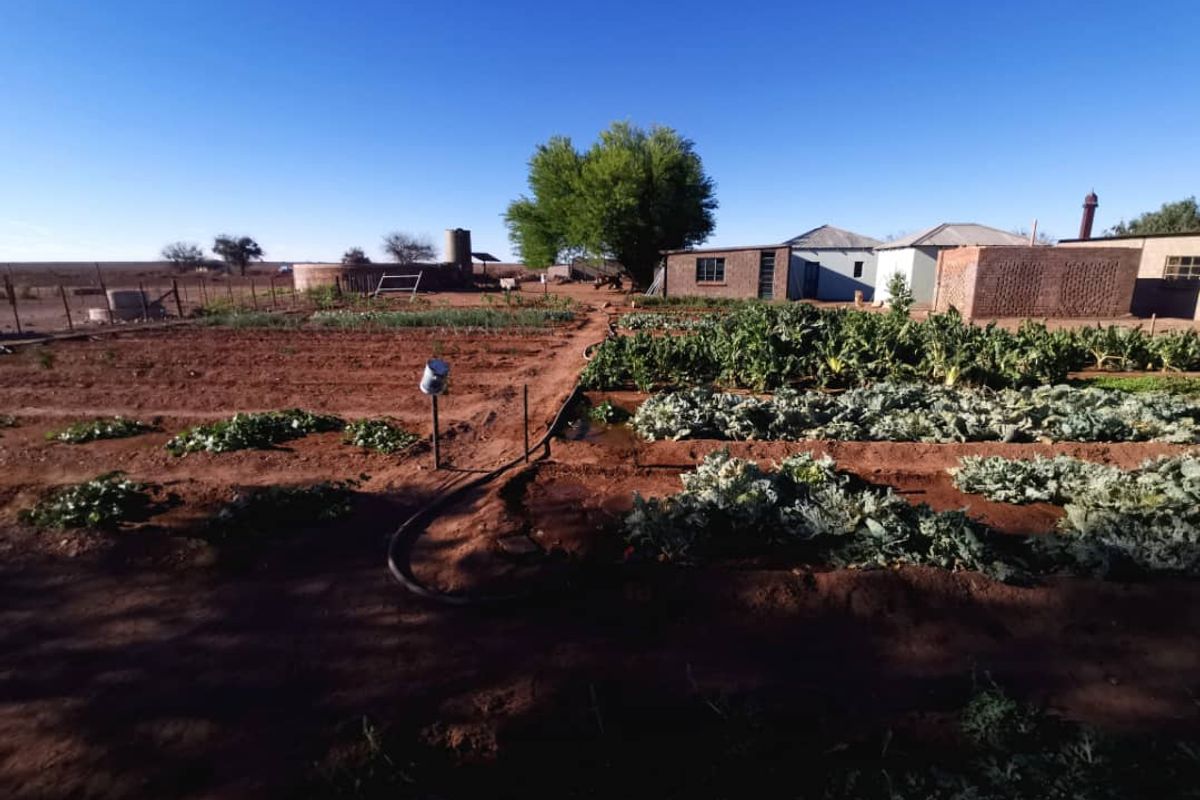 Farm For Sale In Karasburg - Photo 5