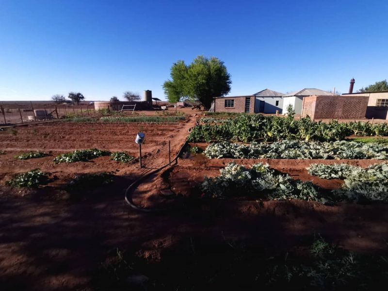 Farm For Sale In Karasburg - Photo 5