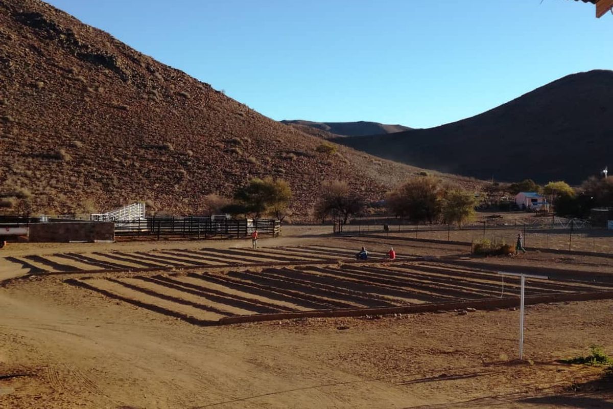 Welcome to the untamed beauty of rural Namibia! - Photo 3