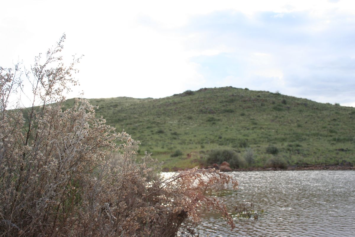 Welcome to the untamed beauty of rural Namibia! - Photo 4