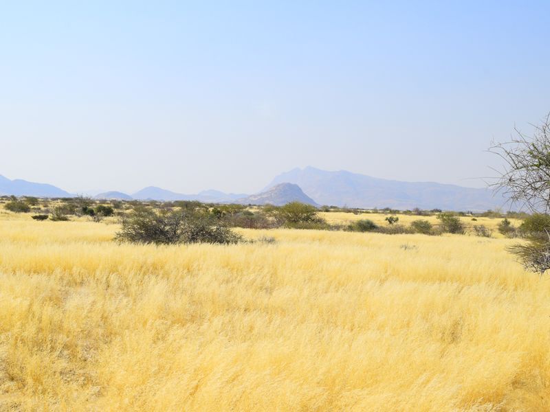 Prime Investment Opportunity – Versatile Game & Farming Estate Near Usakos - Photo 8