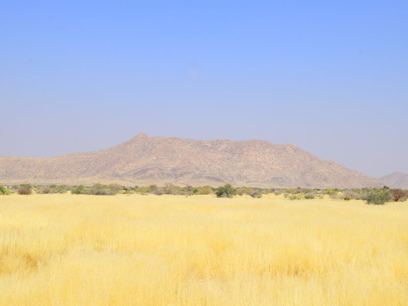 Prime Investment Opportunity – Versatile Game & Farming Estate Near Usakos - Photo 7