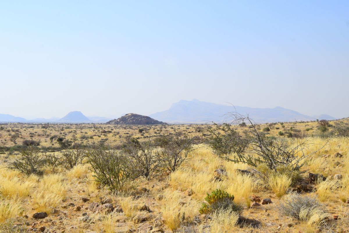 Prime Investment Opportunity – Versatile Game & Farming Estate Near Usakos - Photo 4