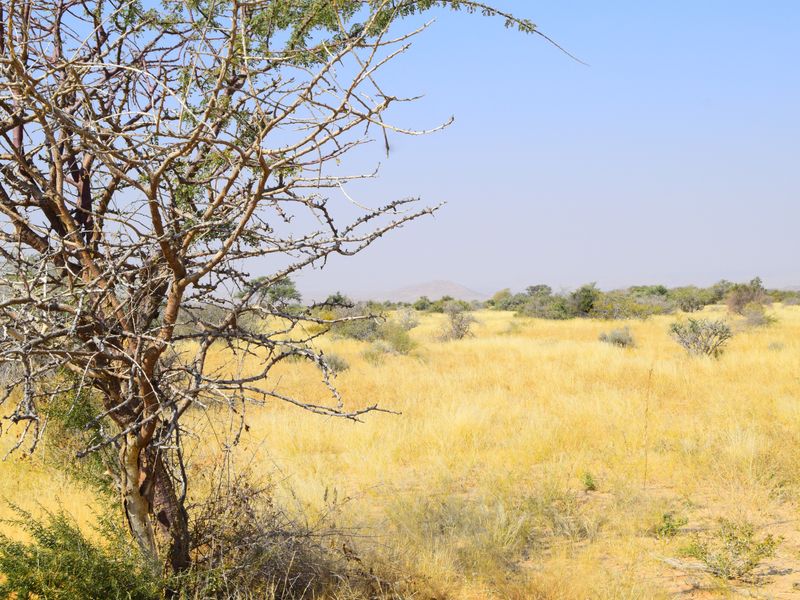 Prime Investment Opportunity – Versatile Game & Farming Estate Near Usakos - Photo 5