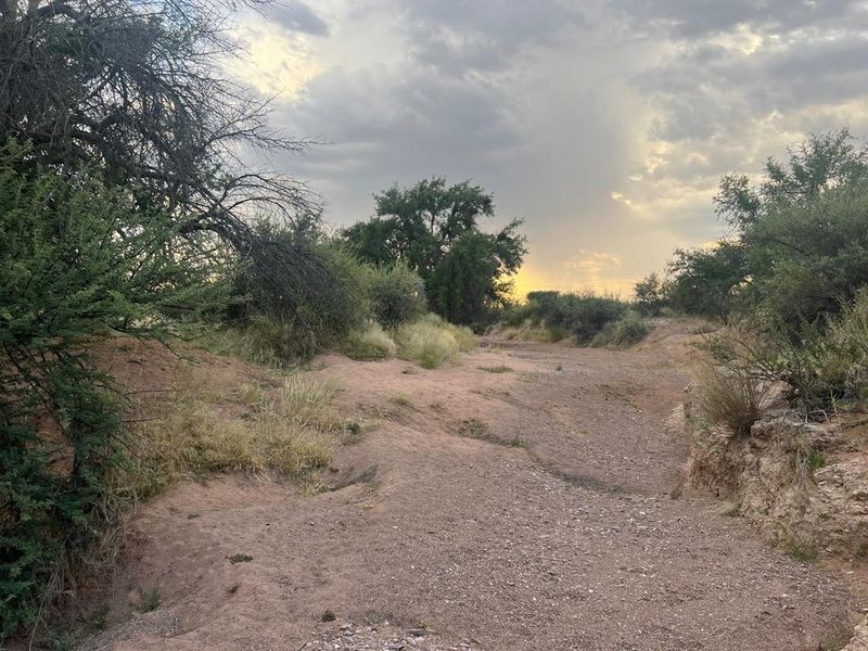 Escape to Your Own Slice of Namibian Paradise - Photo 9