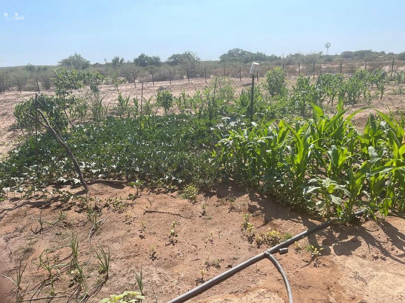 Escape to Your Own Slice of Namibian Paradise - Photo 10