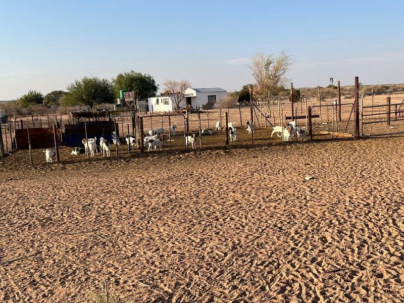 Escape to Your Own Slice of Namibian Paradise - Photo 6