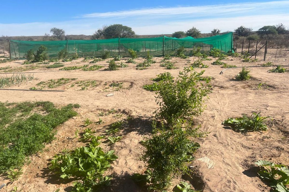 Escape to Your Own Slice of Namibian Paradise - Photo 3