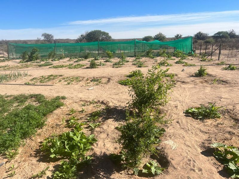 Escape to Your Own Slice of Namibian Paradise - Photo 3