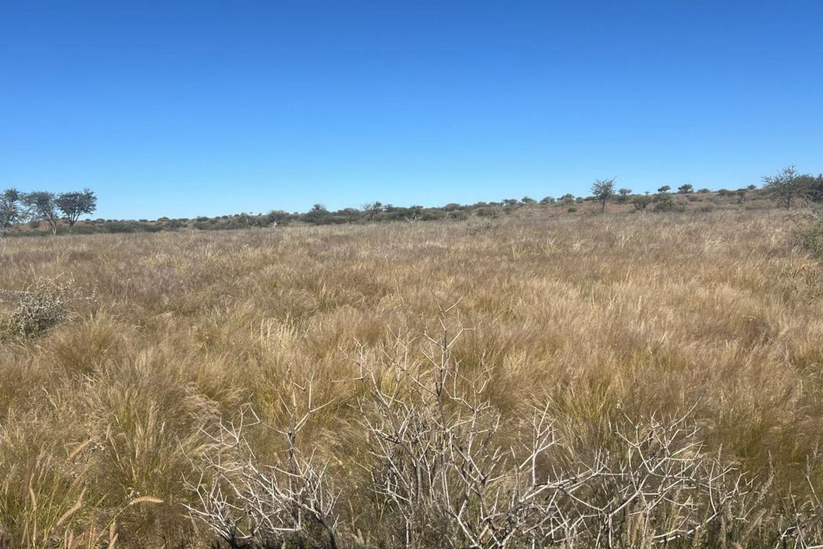 Escape to Your Own Slice of Namibian Paradise - Photo 2