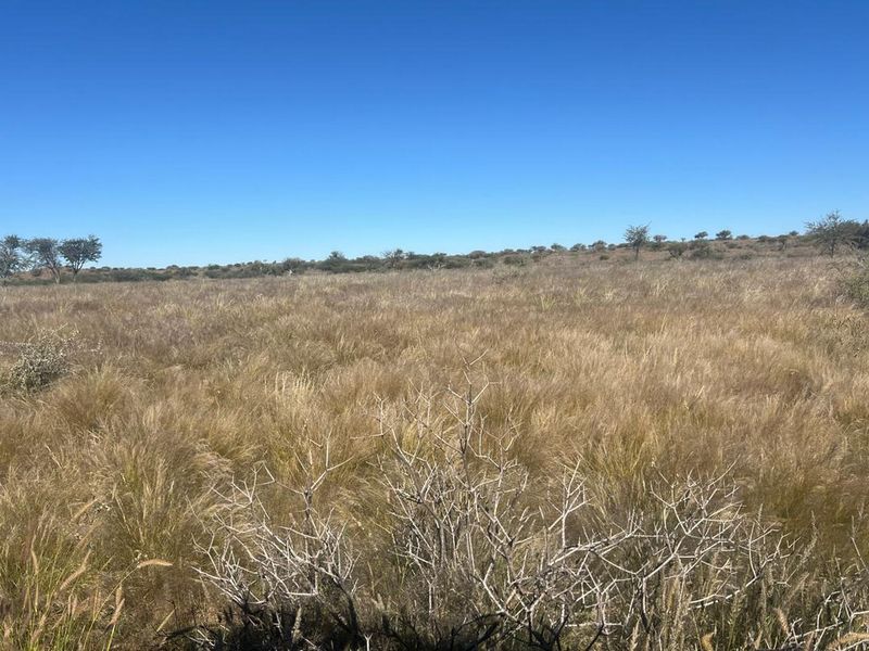 Escape to Your Own Slice of Namibian Paradise - Photo 2