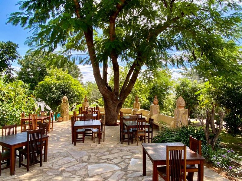A shaded outdoor patio area featuring stone paving, stone retaining walls, and mature trees, providing a natural and tranquil setting for dining.
