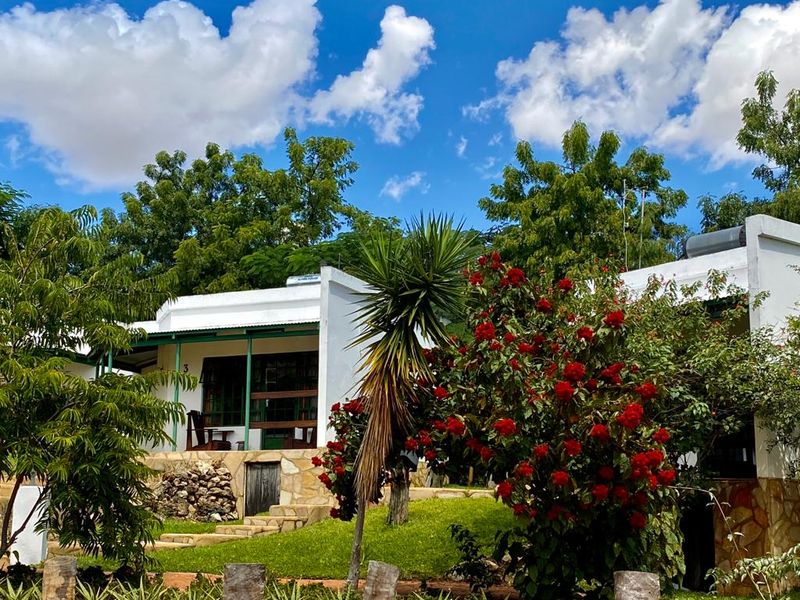 A charming lodge exterior featuring stone cladding, a covered patio, and a well-maintained garden under a bright blue sky.