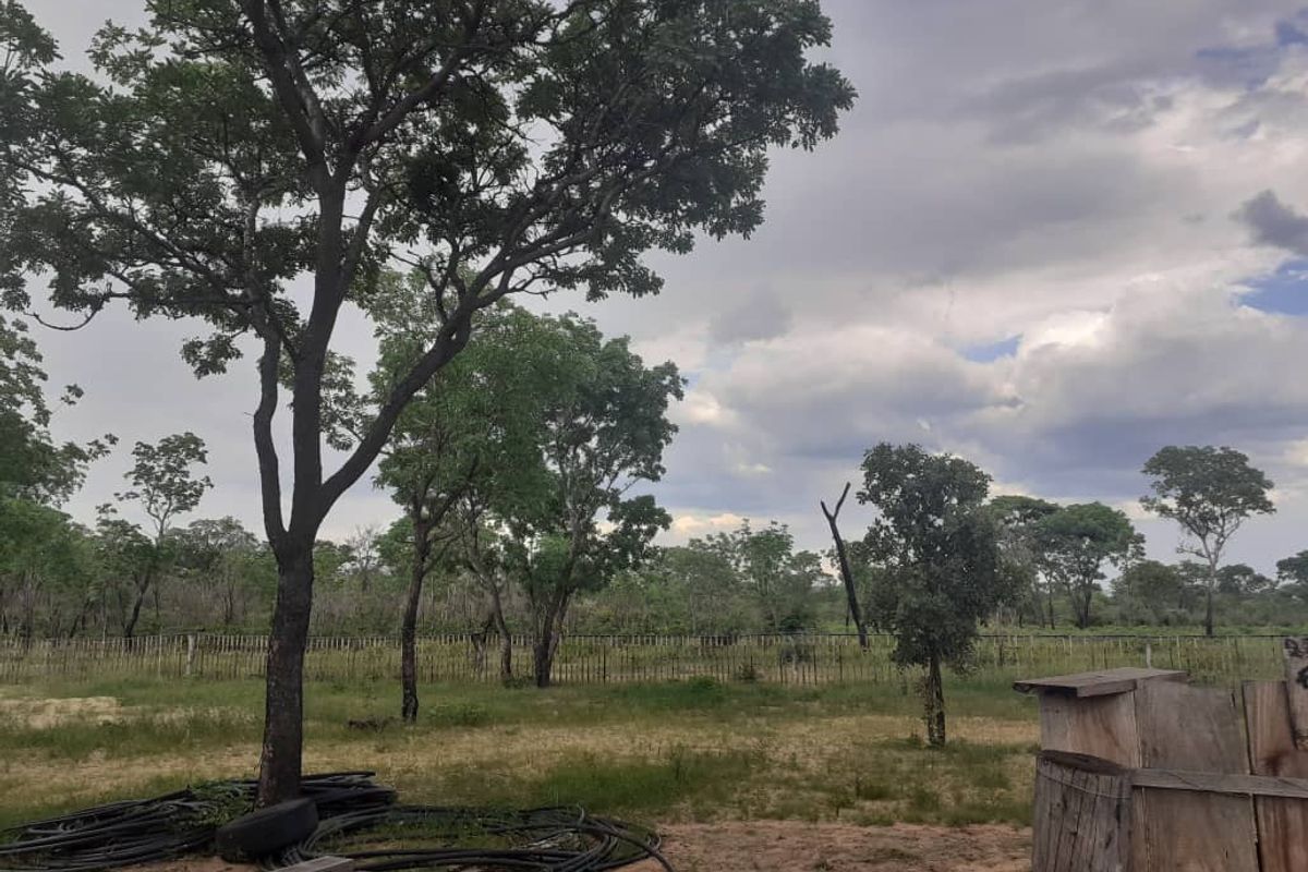 Farm For Sale In Rundu - Photo 3