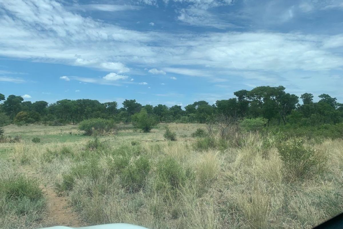 Farm For Sale In Rundu - Photo 5