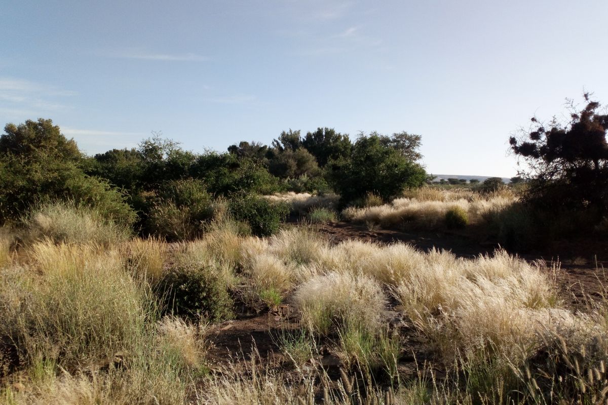Small stock farm for sale Namibia - Photo 2