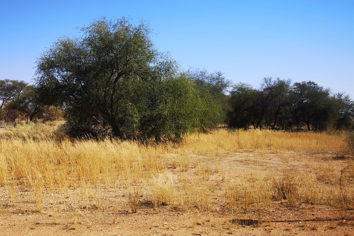 Vacant Land Residential For Sale In Okahandja - Photo 2
