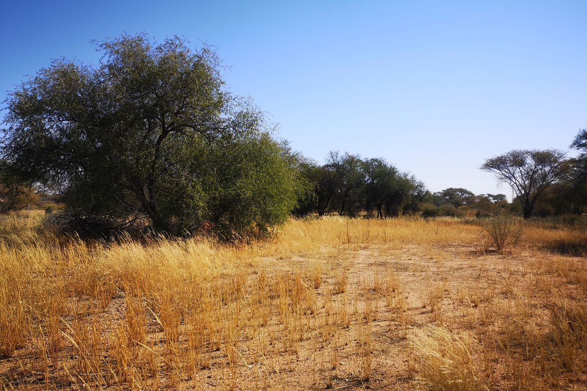 Vacant Land Residential For Sale In Okahandja - Photo 4