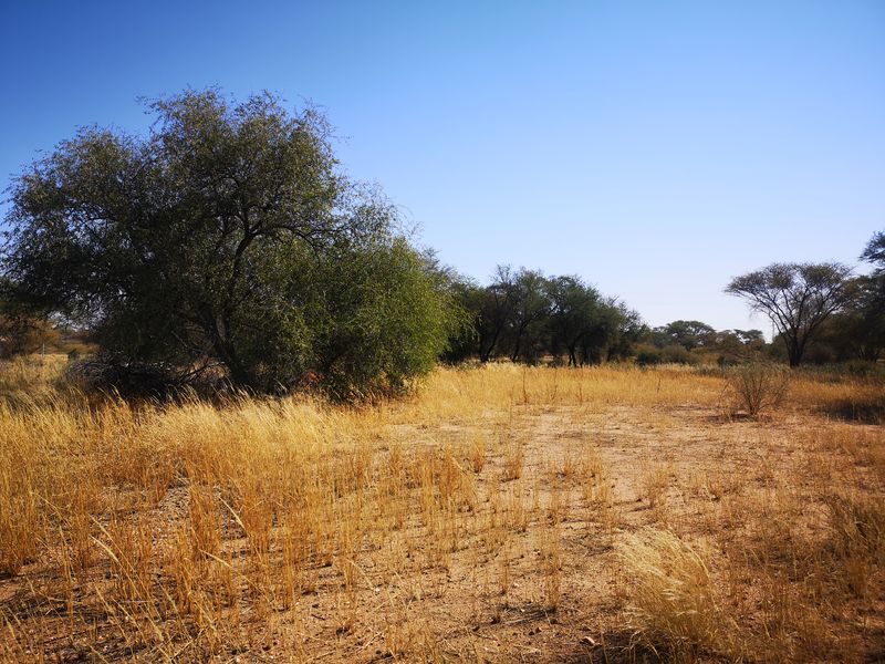 Vacant Land Residential For Sale In Okahandja - Photo 4