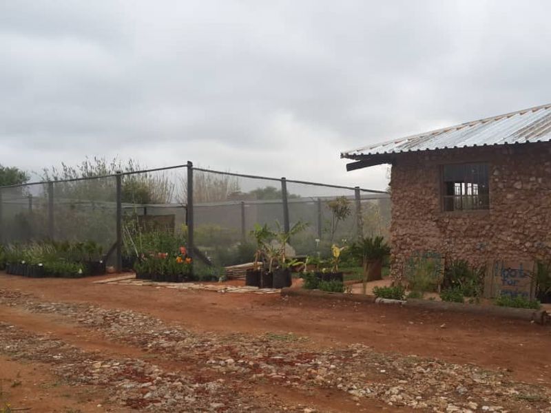 Smallholding For Sale In Otavi - Photo 5