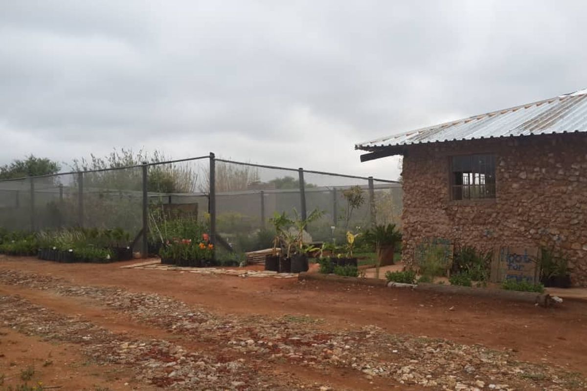 Smallholding For Sale In Otavi - Photo 5