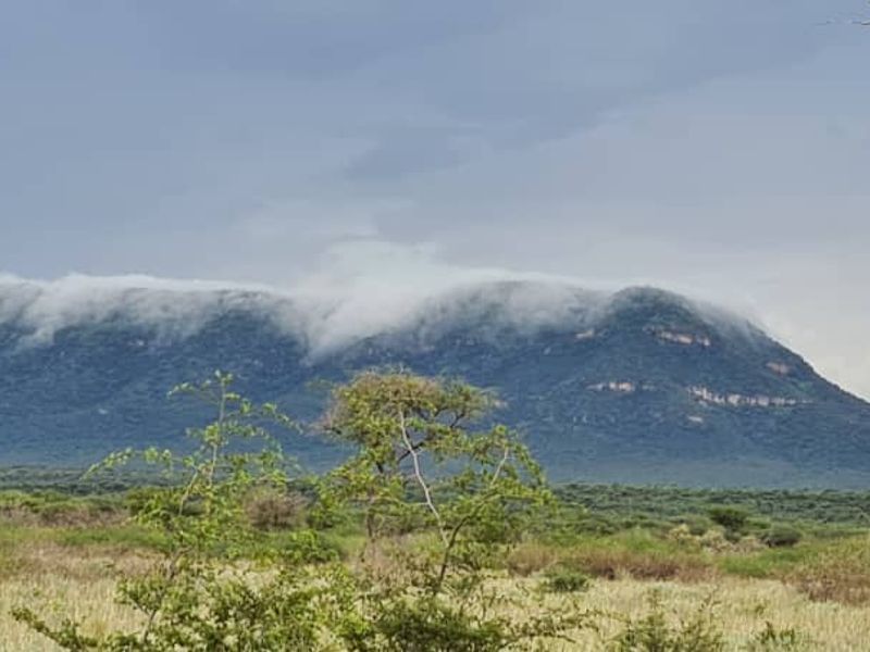 Farm For Sale In Otavi - Photo 9