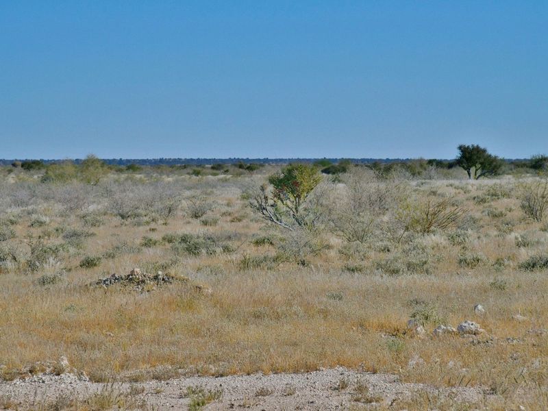 YOUR FUTURE IN STAMPRIET’S AGRI-VILLAGE AWAITS! - Photo 5