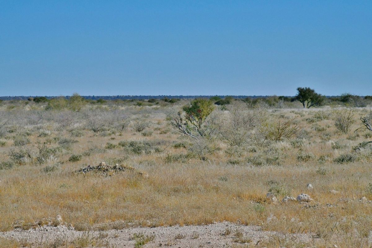 YOUR FUTURE IN STAMPRIET’S AGRI-VILLAGE AWAITS! - Photo 5