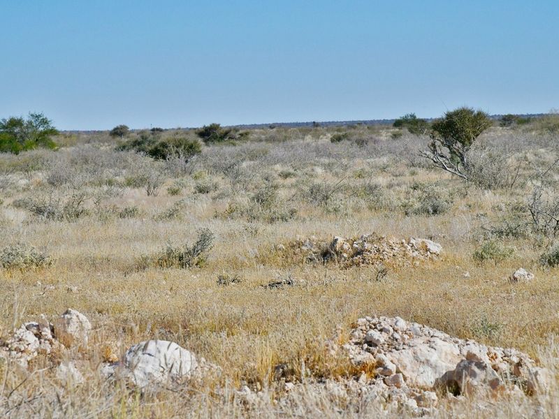 YOUR FUTURE IN STAMPRIET’S AGRI-VILLAGE AWAITS! - Photo 4