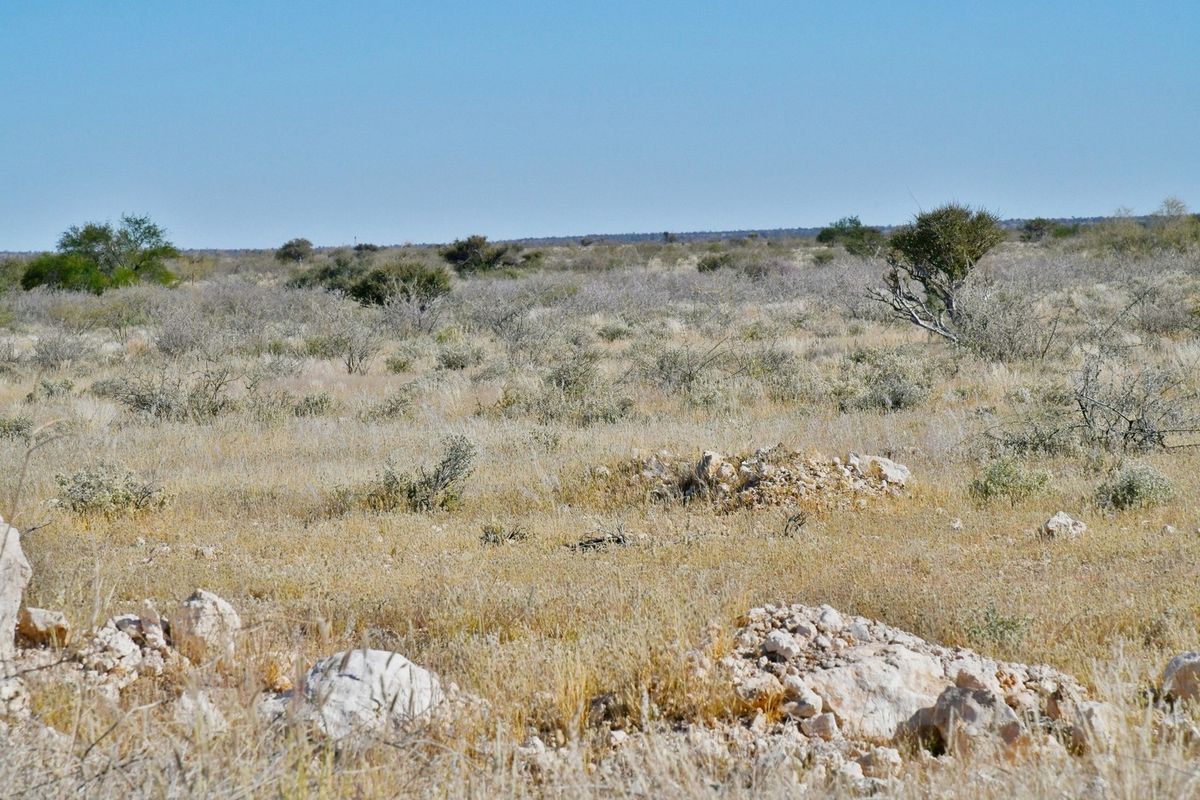 YOUR FUTURE IN STAMPRIET’S AGRI-VILLAGE AWAITS! - Photo 4