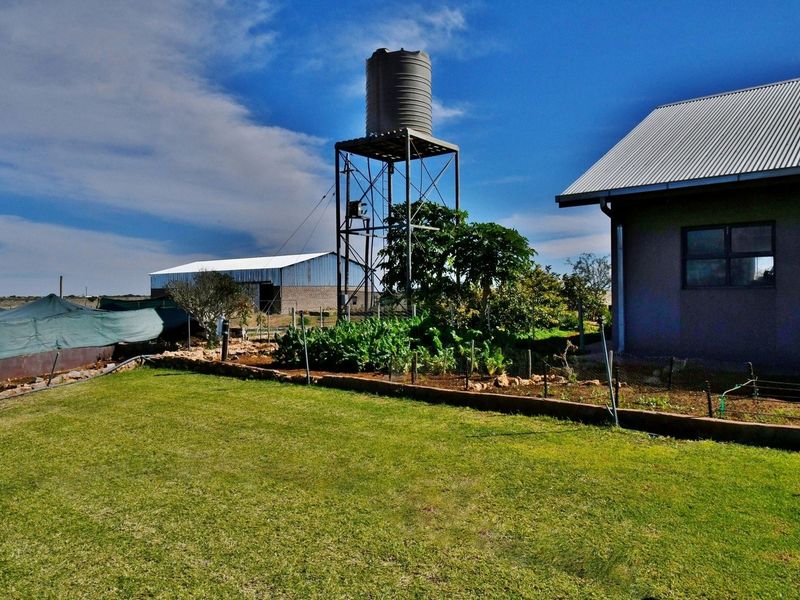 AGRICULTURAL HAVEN IN THE HEART OF STAMPRIET - Photo 2