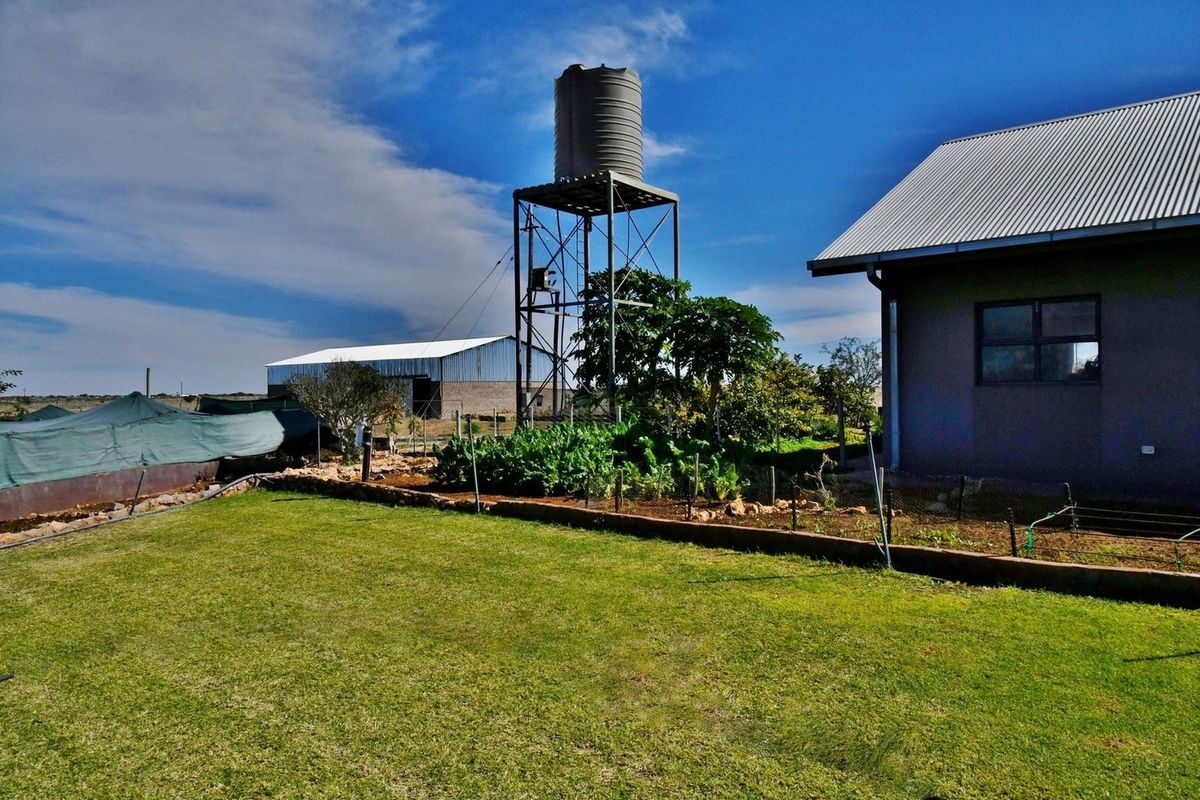 AGRICULTURAL HAVEN IN THE HEART OF STAMPRIET - Photo 2